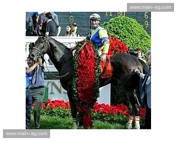 蓝与白的史诗：肯塔基德比与北卡罗来纳的篮球荣耀